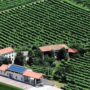 Ricca Vigna Valdobbiadene
